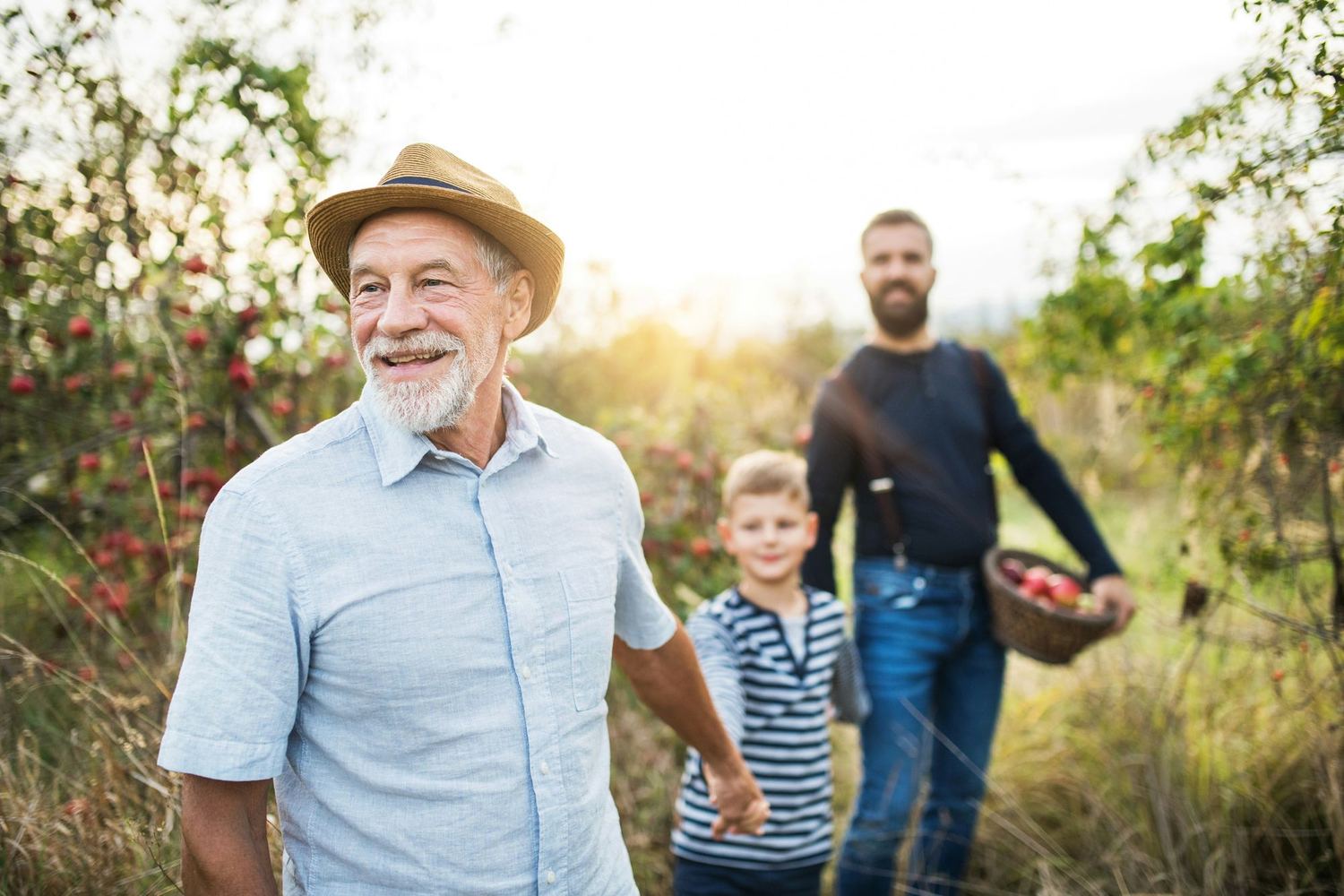 A grandfather, his adult son, and a young grandson in an orchard.