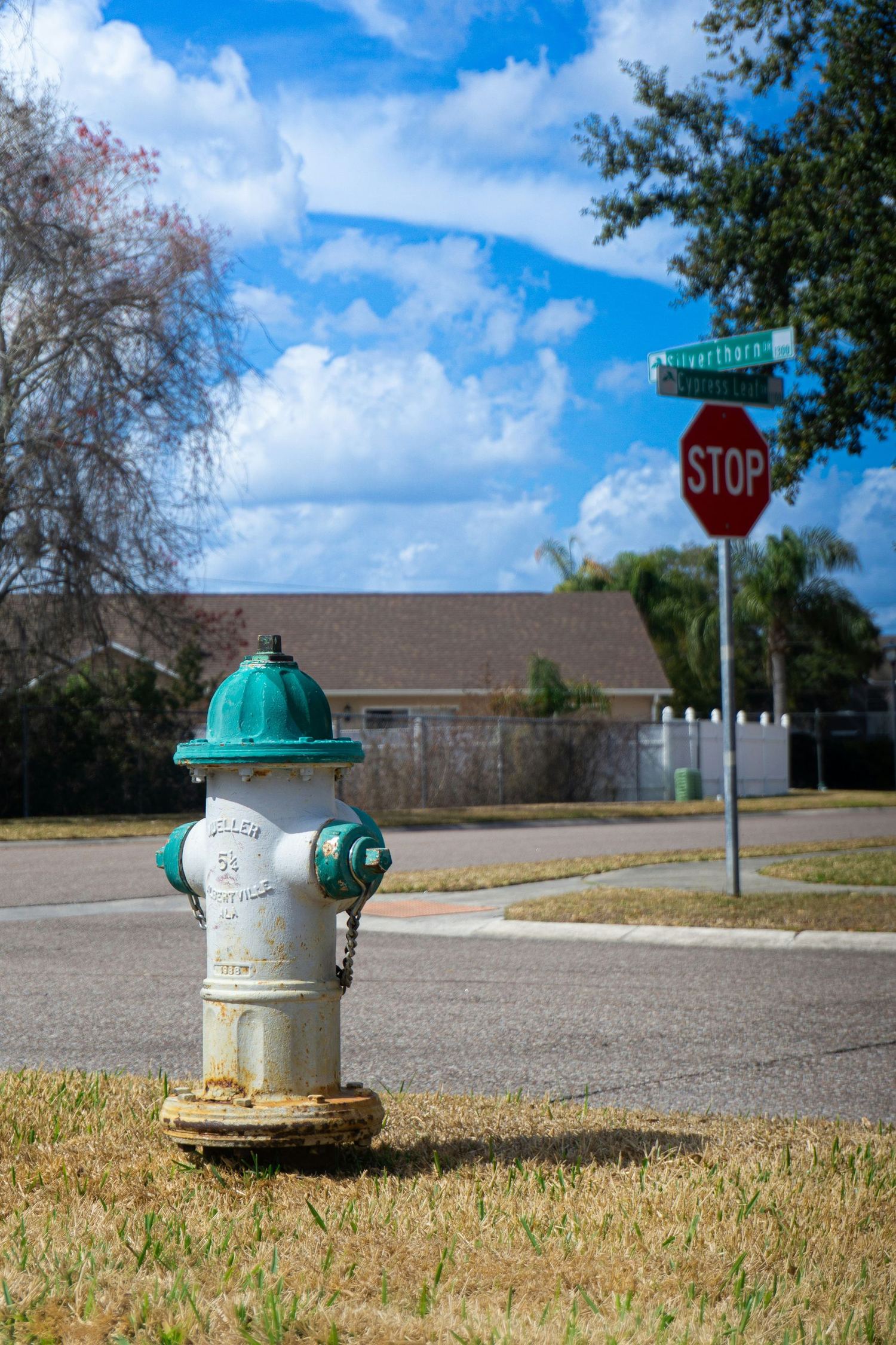 A Florida residential street corner with a home, a stop sign, and a fire hydrant.